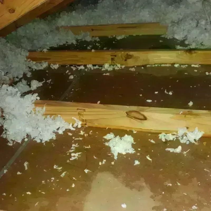 Attic Water Damage in Plain City, UT