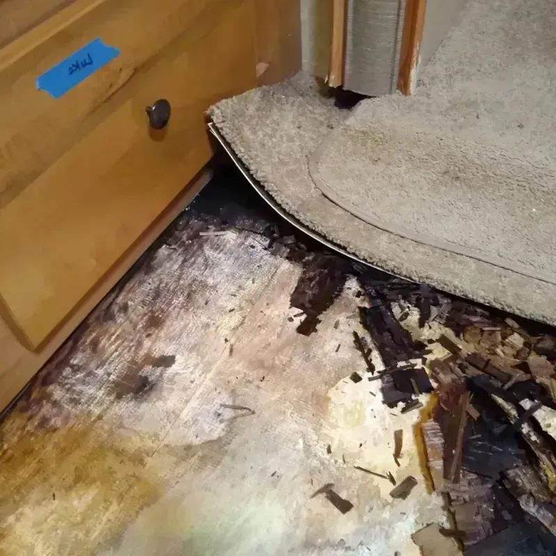 Wood Floor Water Damage in Plain City, UT